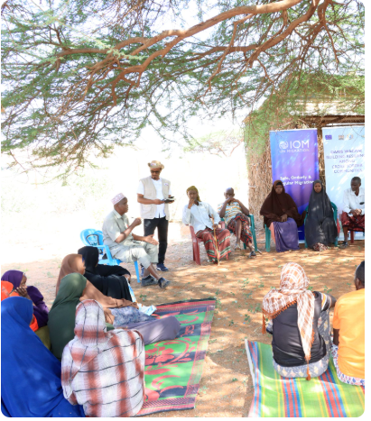 Capacity Strengthening